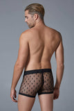 Allure Lingerie Men’s Star Shorts - Allure Lingerie - Flyclothing LLC