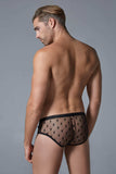 Allure Lingerie Men’s Star Brief - Allure Lingerie - Flyclothing LLC