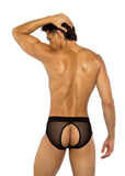 Roma Costume Sheer Peek-A-Boo Briefs - Roma Costume - Flyclothing LLC