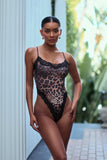 Roma Confidential LI874 Fierce Teddy - Roma Confidential - Flyclothing LLC