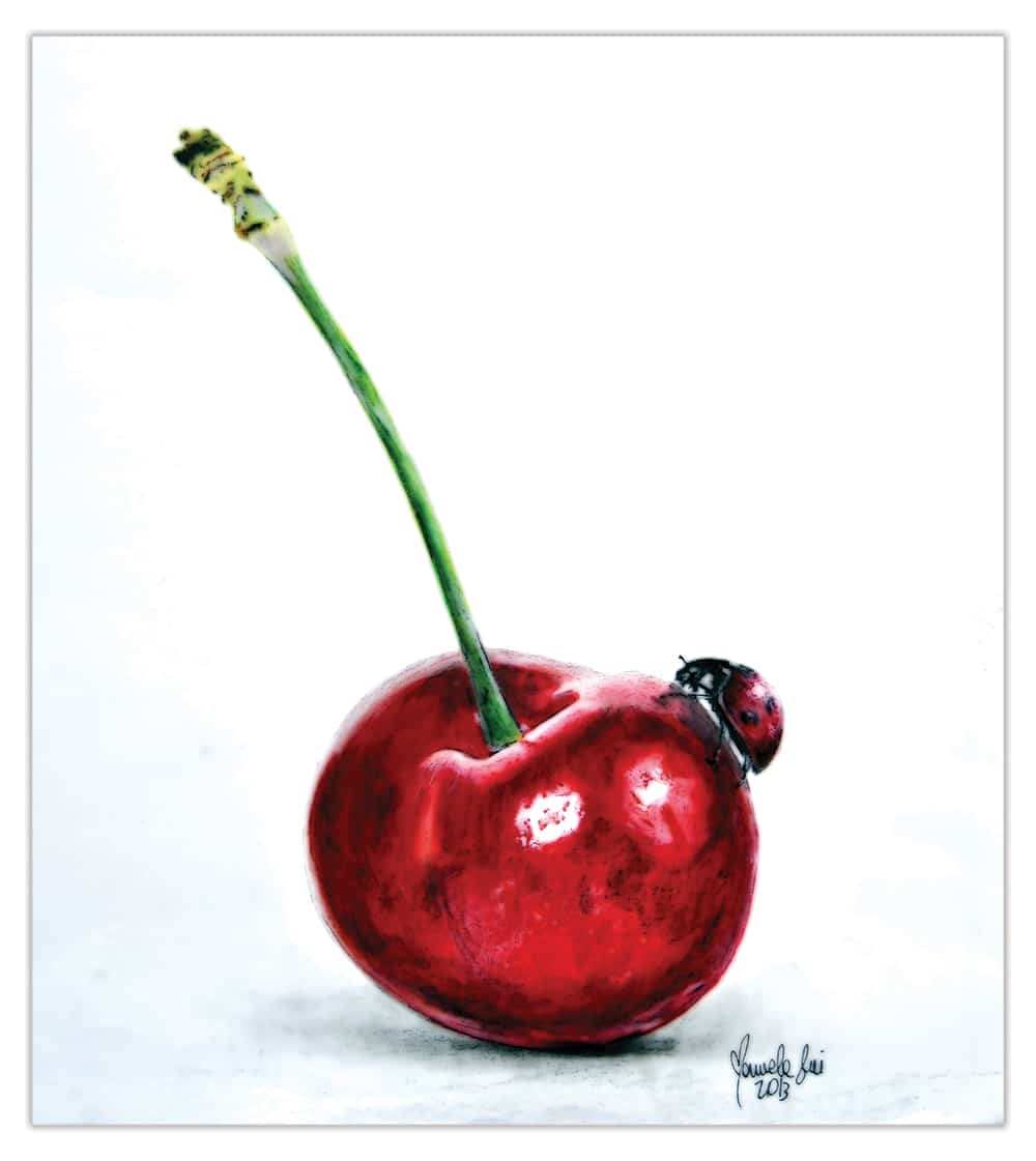 Black Market Art Company Ladybug And Cherry Print - Black Market Art Company - Flyclothing LLC