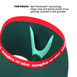 The Nice List | Flirty Waistband Ball Hammock® Pouch Underwear - Shinesty - Flyclothing LLC
