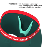 The Nice List | Flirty Waistband Ball Hammock® Pouch Underwear With Fly - Shinesty - Flyclothing LLC