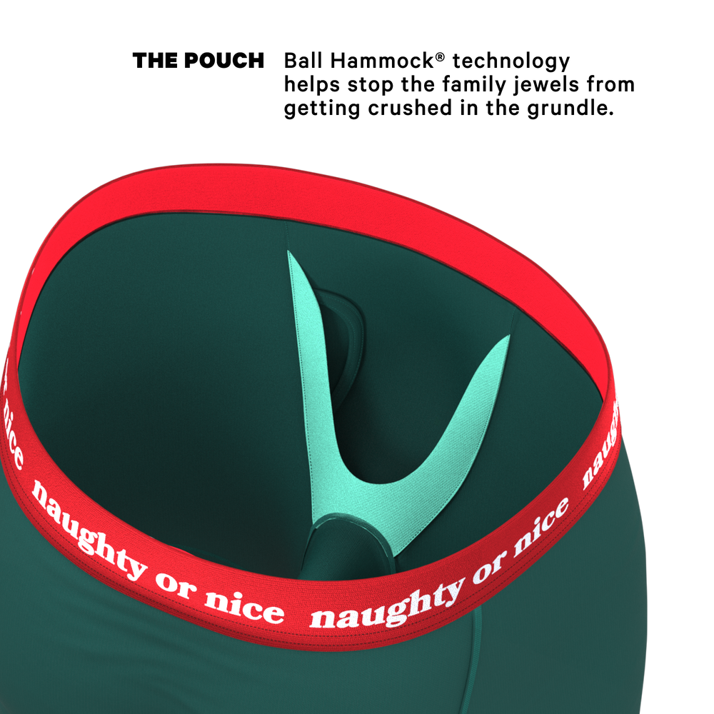 The Nice List | Flirty Waistband Long Leg Ball Hammock® Pouch Underwear With Fly - Shinesty - Flyclothing LLC