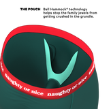 The Nice List | Flirty Waistband Long Leg Ball Hammock® Pouch Underwear With Fly - Shinesty - Flyclothing LLC