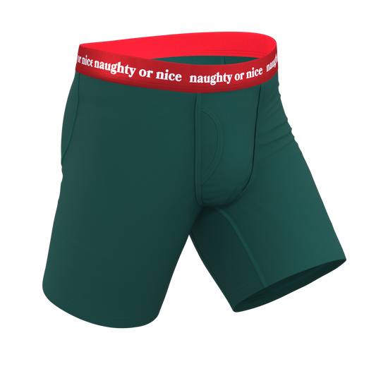 The Nice List | Flirty Waistband Long Leg Ball Hammock® Pouch Underwear With Fly - Shinesty - Flyclothing LLC