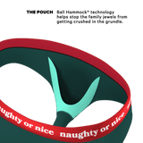 The Nice List | Flirty Waistband Ball Hammock® Pouch Underwear Briefs - Shinesty - Flyclothing LLC