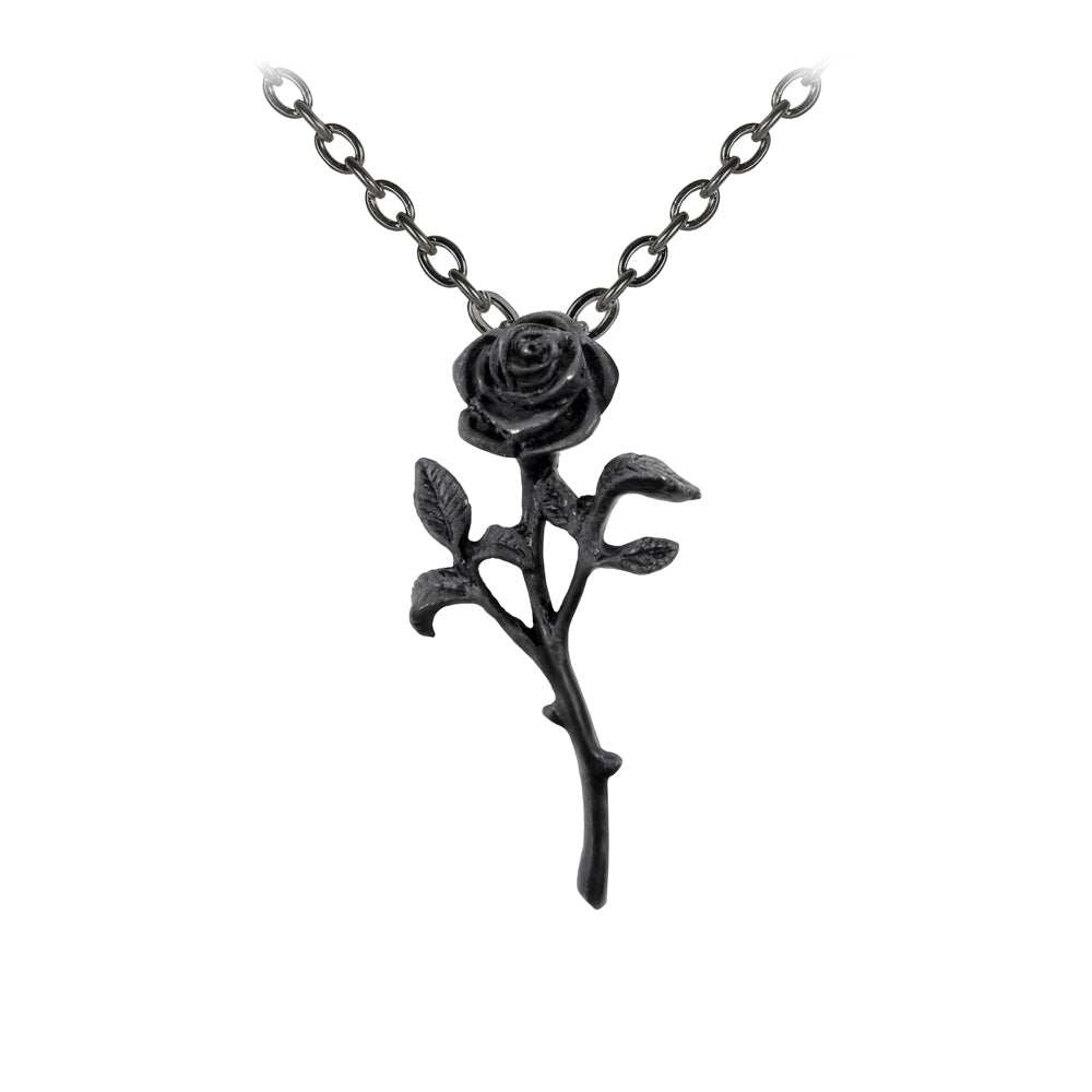 Alchemy Gothic The Romance of The Black Rose Pendant - Alchemy Gothic - Flyclothing LLC