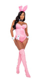Roma Costume 9PC Playboy Boudoir Bunny - Roma Costume - Flyclothing LLC