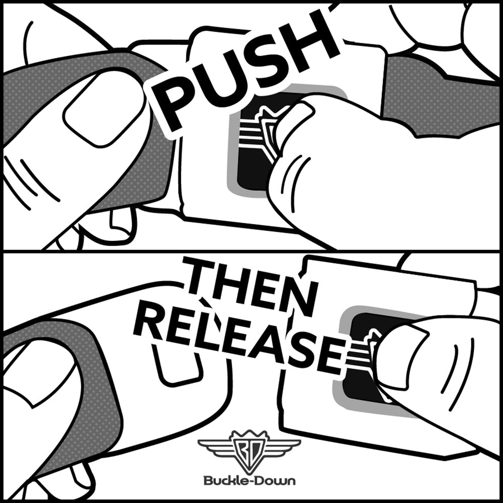 BD Wings Logo CLOSE-UP Full Color Black Silver Seatbelt Belt - Houndstooth Black/Rainbow Webbing - Buckle-Down - Flyclothing LLC