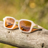 Orange Dreamsicle Panoramas