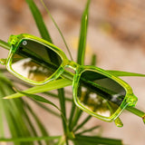 Pucker Up Panoramas - Knockaround - Flyclothing LLC