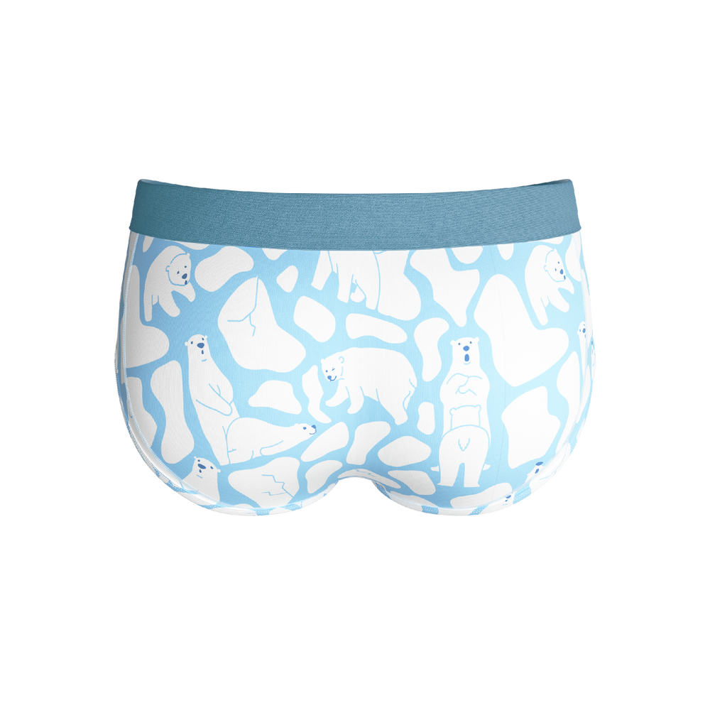 The Polar Polka | Polar Bear Scene Ball Hammock® Pouch Underwear Briefs - Shinesty - Flyclothing LLC