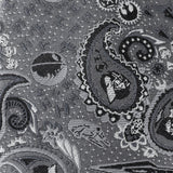 Star Wars Darth Vader Gray Paisley Tie