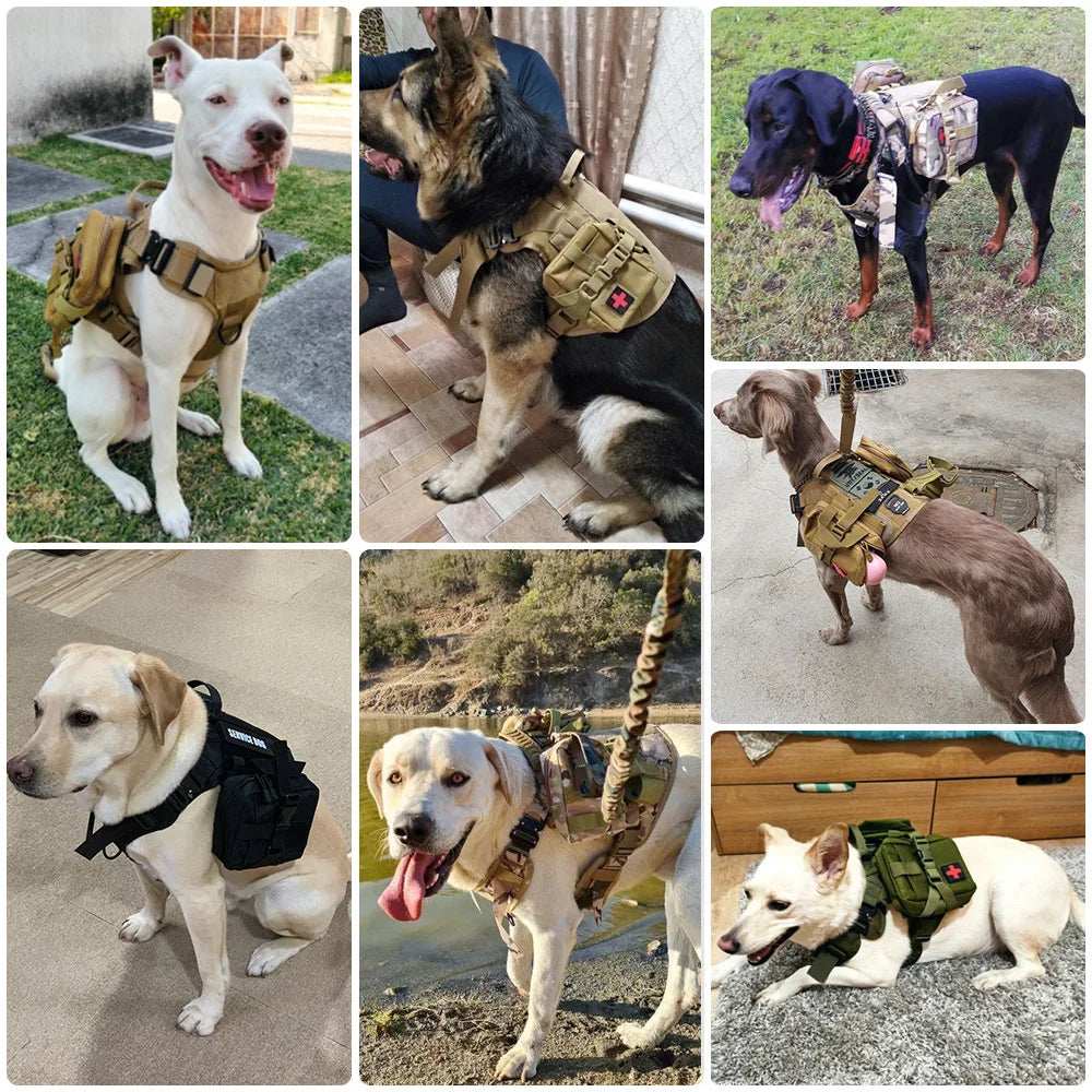 3Pcs Dog Tactical Bags Attaching on Harness Vest 2Pcs Pouch Molles and 1 Belt Bottle Holder Waist Military Training Carrier - ZeeBelle.com - Flyclothing LLC