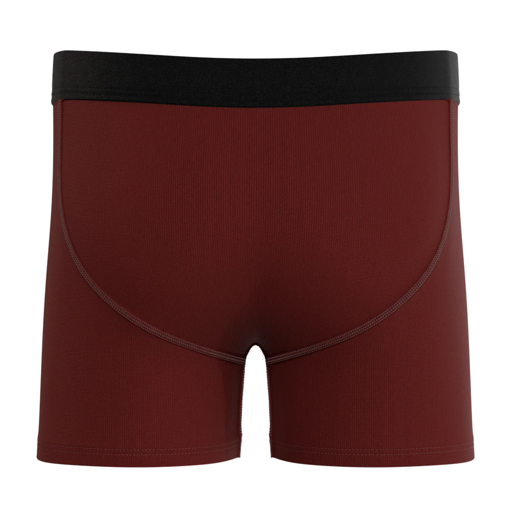 The Scare Bear | Grizzly Bear Boy's Boxer Briefs - Shinesty - Flyclothing LLC