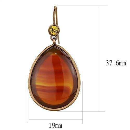 TK2575 - IP Coffee light Stainless Steel Earrings with Semi-Precious Agate in Siam - Alamode - Flyclothing LLC