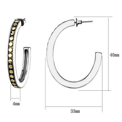 TK2891 - Two-Tone IP Gold (Ion Plating) Stainless Steel Earrings with Epoxy in Jet - Alamode - Flyclothing LLC