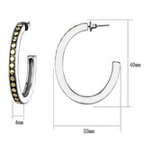 TK2891 - Two-Tone IP Gold (Ion Plating) Stainless Steel Earrings with Epoxy in Jet - Alamode - Flyclothing LLC