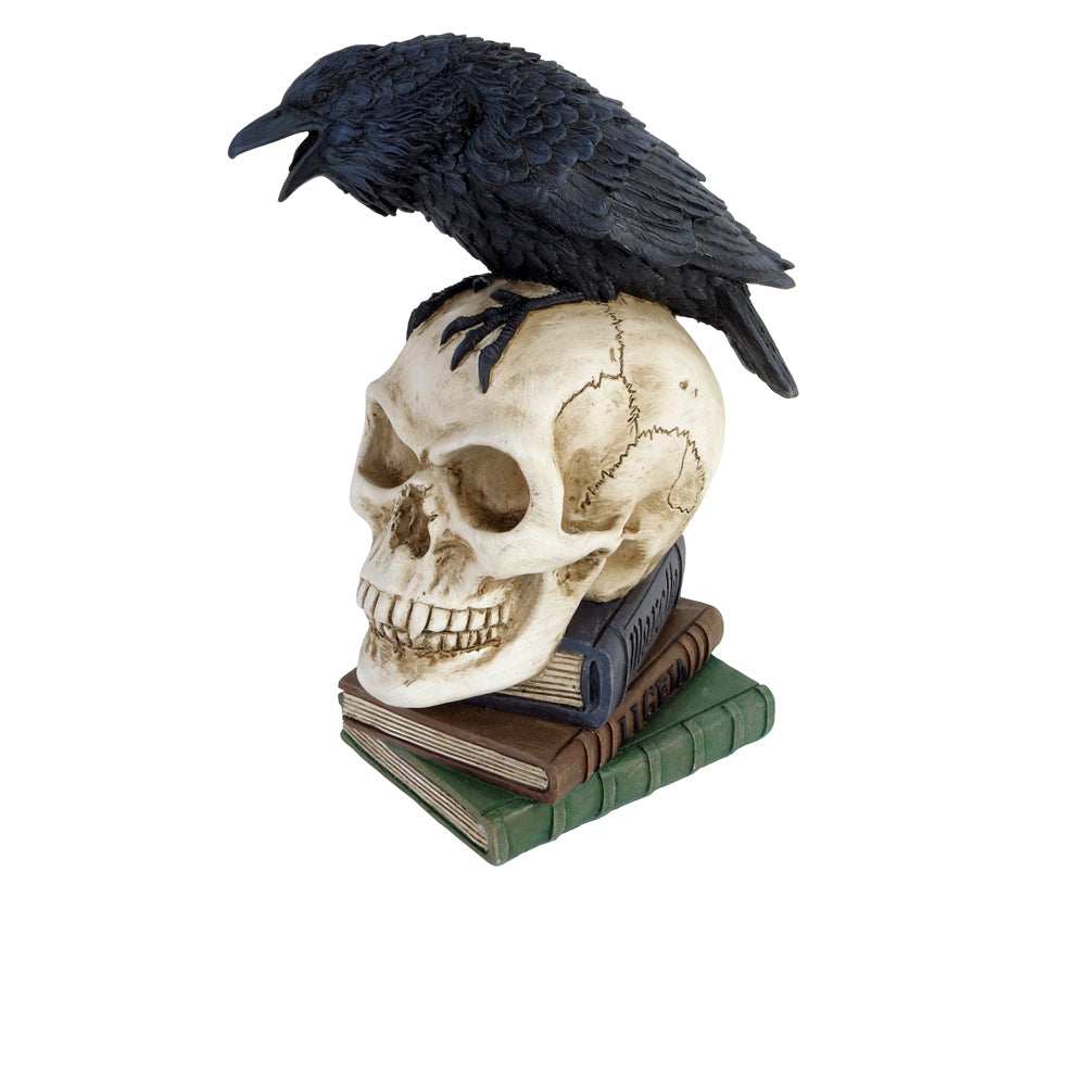 The Vault Poes Raven Skull - Alchemy Gothic - Flyclothing LLC
