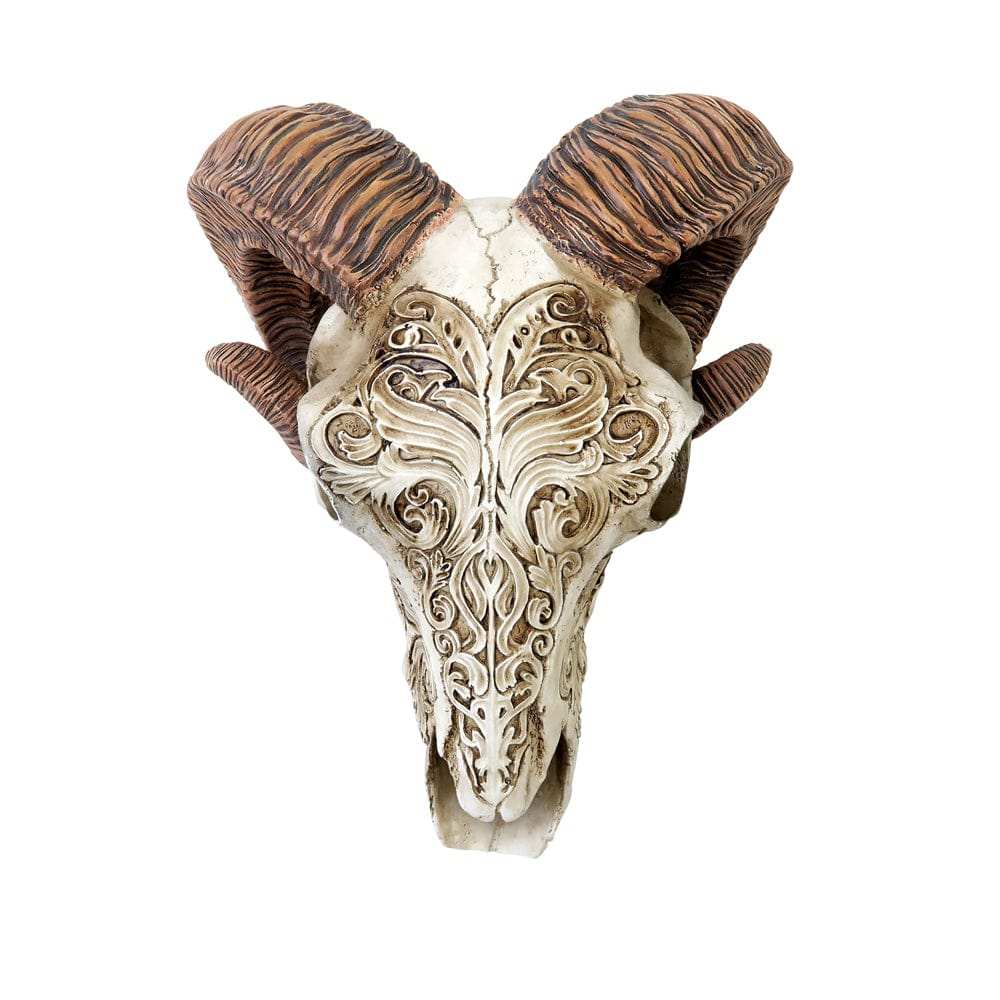Alchemy Gothic Scrimshaw Ram Skull - Alchemy Gothic - Flyclothing LLC