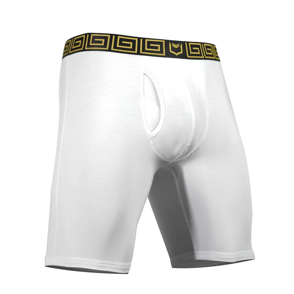 SHEATH V Men's 8" Sports Performance Boxer Brief - SHEATH UNDERWEAR - Flyclothing LLC