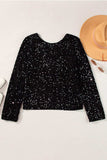 Sequin Round Neck Long Sleeve Blouse - Trendsi - Flyclothing LLC