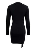 Round Neck Long Sleeve Bodycon Dress - Trendsi - Flyclothing LLC