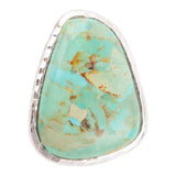 Abstract Blue Turquoise and Sterling Silver Ring - Barse Jewelry - Flyclothing LLC