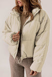 Zip Up Collared Neck Long Sleeve Winter Coat - Trendsi - Flyclothing LLC