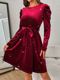 Glitter Round Neck Puff Sleeve Dress - Trendsi - Flyclothing LLC