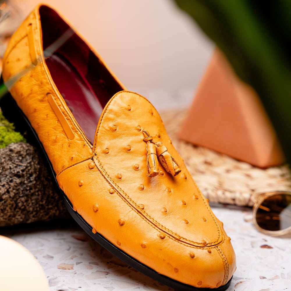 Aubiere Buttercup - Marco Di Milano - Flyclothing LLC