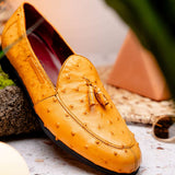 Aubiere Buttercup - Marco Di Milano - Flyclothing LLC