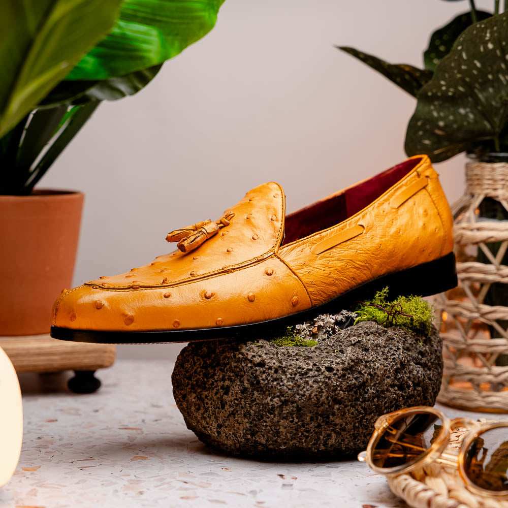 Aubiere Buttercup - Marco Di Milano - Flyclothing LLC