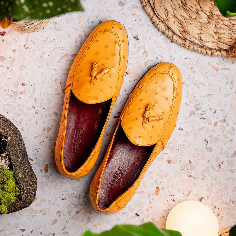 Aubiere Buttercup - Marco Di Milano - Flyclothing LLC