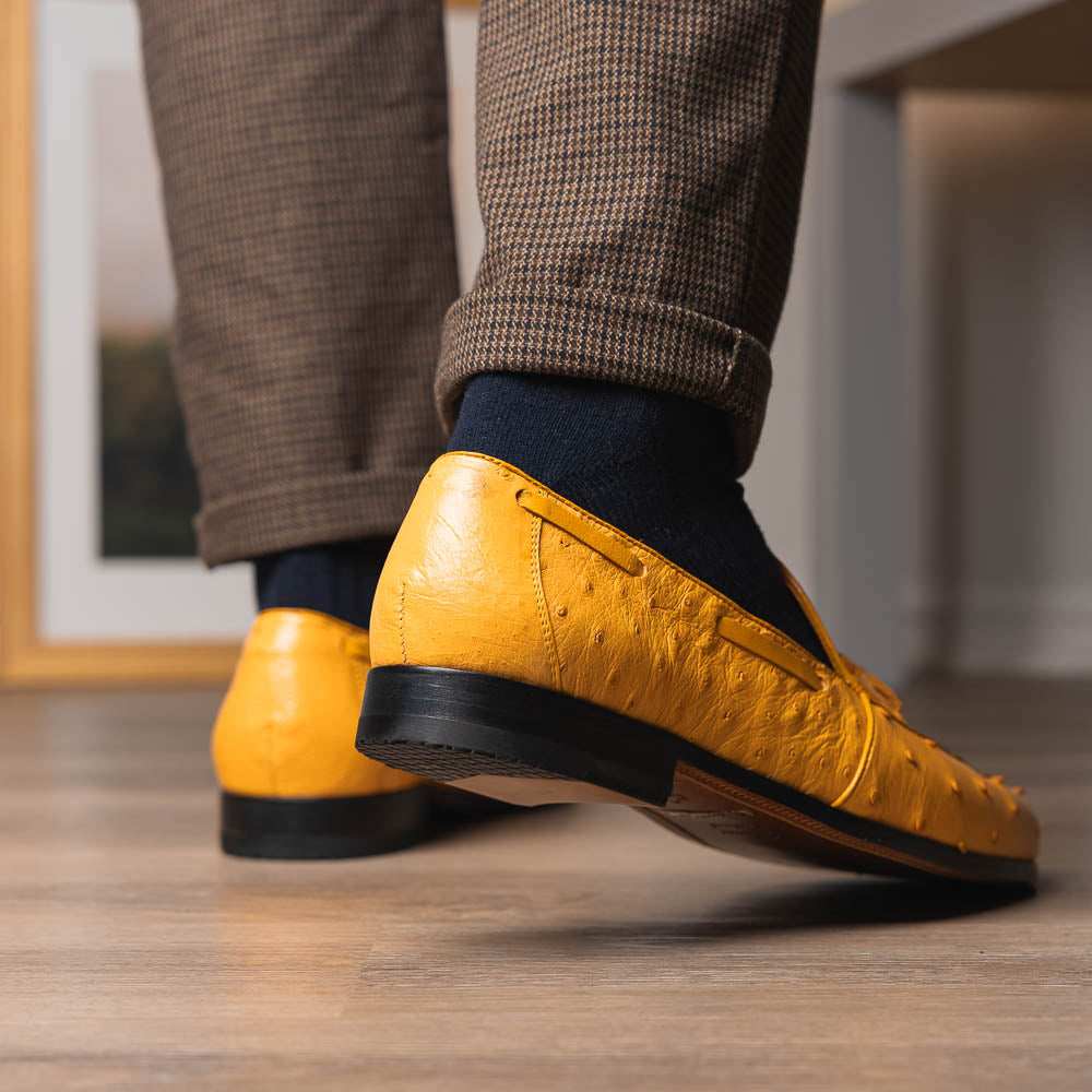 Aubiere Buttercup - Marco Di Milano - Flyclothing LLC