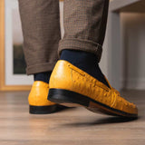 Aubiere Buttercup - Marco Di Milano - Flyclothing LLC