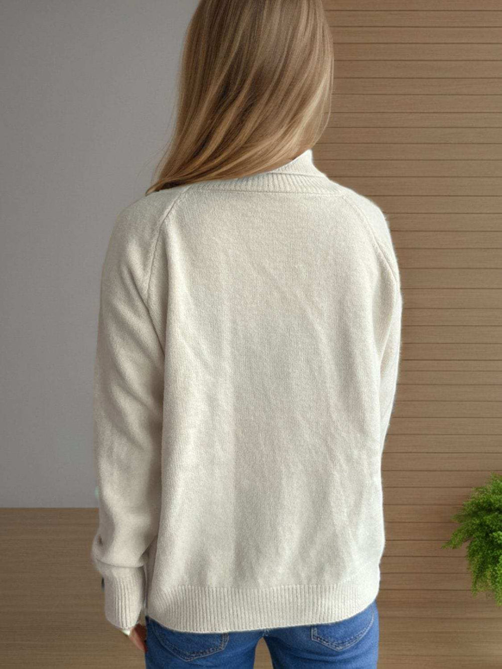 Solid Color Turtleneck Long Sleeve Sweater - Trendsi - Flyclothing LLC