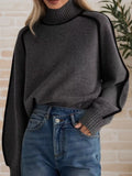 Contrast Trim Turtleneck Sweater - Trendsi - Flyclothing LLC