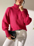 Turtleneck Long Sleeve Sweater - Trendsi - Flyclothing LLC