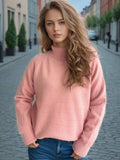 Solid Color Turtleneck Long Sleeve Sweater - Trendsi - Flyclothing LLC