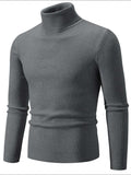 Men's Turtleneck Long Sleeve Ribbed Sweater - Trendsi - Flyclothing LLC