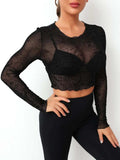 Round Neck Long Sleeve Sheer Top - Trendsi - Flyclothing LLC