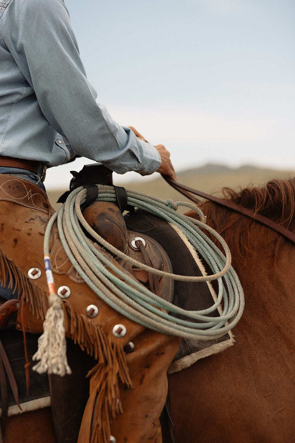 Women's Cowboygirl Light Wash Denim Shirt with Embroidery - Ely Cattleman - Flyclothing LLC