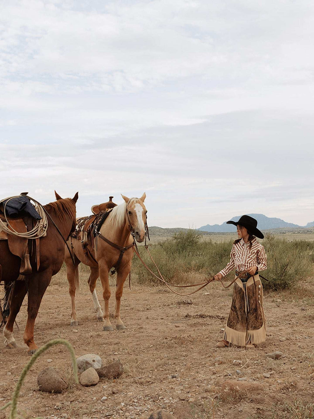 Girl's Cowboygirl Rust Horseshoe Stripe Print Granddaddy Western Snap Shirt - Ely Cattleman - Flyclothing LLC