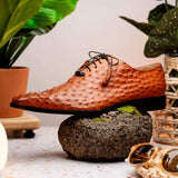 Criss Brandy - Marco Di Milano - Flyclothing LLC