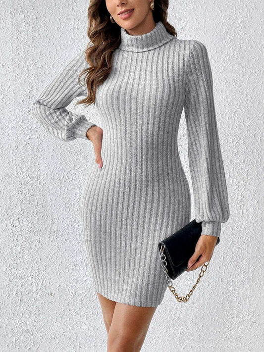 Turtleneck Long Sleeve Mini Dress - Trendsi - Flyclothing LLC