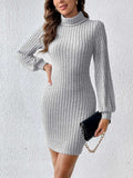 Turtleneck Long Sleeve Mini Dress - Trendsi - Flyclothing LLC