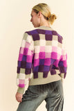 Davi & Dani Checkered Round Neck Long Sleeve Sweater - Trendsi - Flyclothing LLC