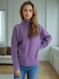 Turtleneck Raglan Sleeve Sweater - Trendsi - Flyclothing LLC